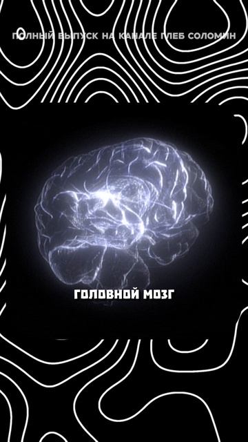 Сколько живет мозг без кислорода смотреть онлайн