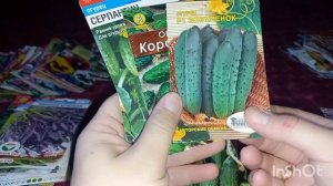 Обзорчики))) Шуршим пакетиками))) Семена на сезон 2026