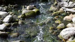 Тест рекламы 10 (5 мин)