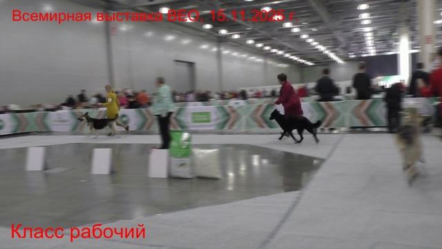 Класс рабочий смотреть онлайн