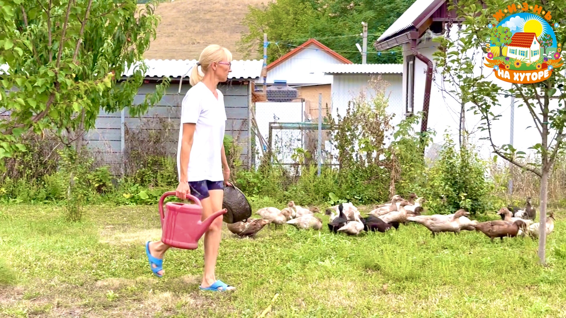 Заготовки на зиму и томатный суп. Уток стало ещё больше! смотреть онлайн