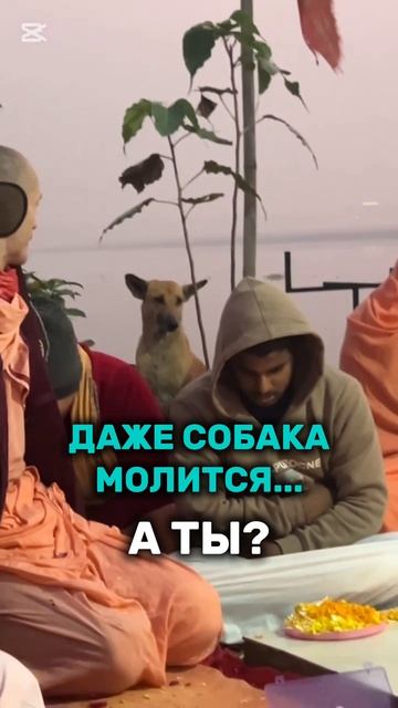 Продолжается Катьяяни Врат. Даже собачка пришла помолиться смотреть онлайн