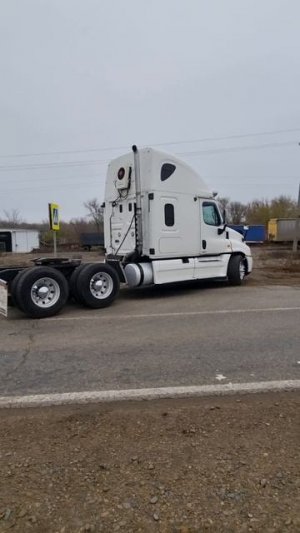 600 сильная Каскадия .в продаже