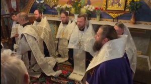 Царице моя преблагая. Молитва Богородице. Мужской хор