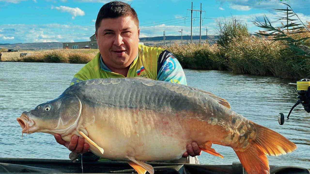 Ловля карпа в Ноябре по холодной воде. Закрытие сезона 2025. смотреть онлайн