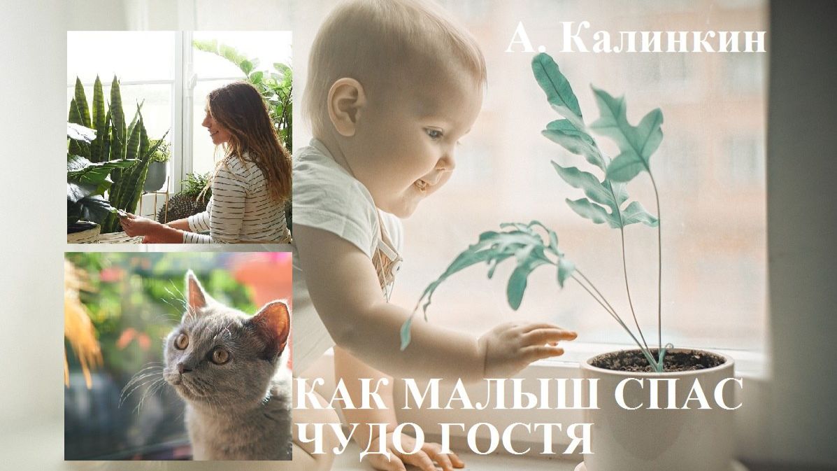 Как малыш спас чудо гостя - добрая поучительная история для детей и родителей