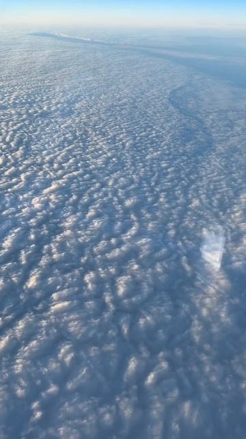 Красота смотреть онлайн