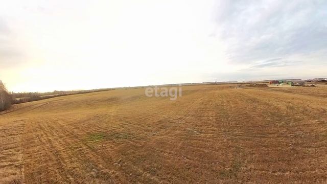 10329230 смотреть онлайн