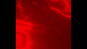 Эдит про Тимоху