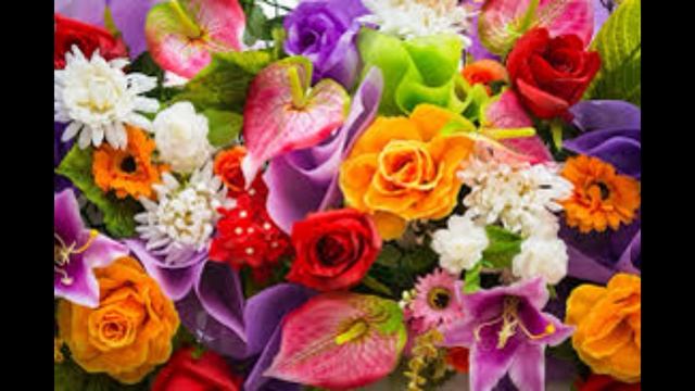 Сила божественного сознания (2) смотреть онлайн