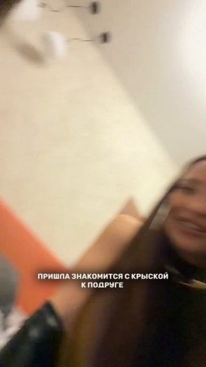 Домашние животные