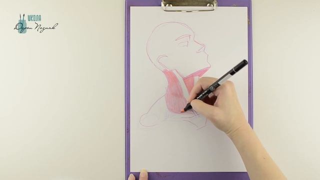Как нарисовать шею. смотреть онлайн