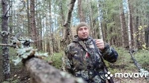 охота на рябчика с 22 wmr