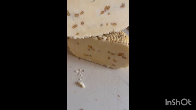 19-11-2025 СЫР ДОМАШНИЙ С ПАЖИТНИКОМ 👍/жизнь здесь и сейчас ❤️❤️❤️ смотреть онлайн