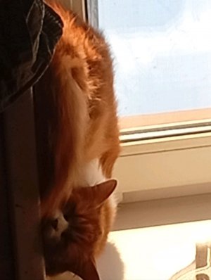 играю на гитаре