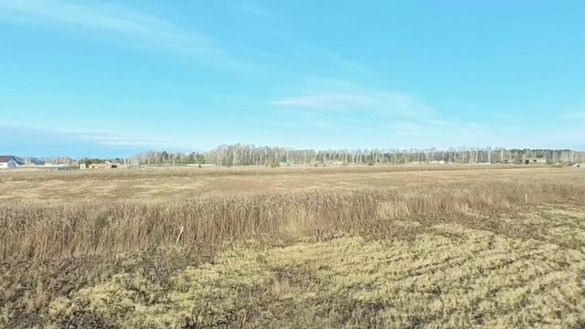 10366187, Каменка смотреть онлайн