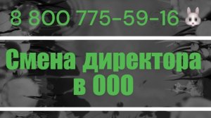 Смена директора ООО в 2026 году: инструкция