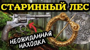 НАШЁЛ ИСЧЕЗНУВШЕЕ ПОСЕЛЕНИЕ В ЛЕСУ СТОЛЬКО НАХОДОК