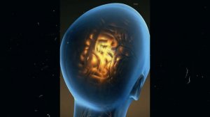 А у тебя дома есть кошка?