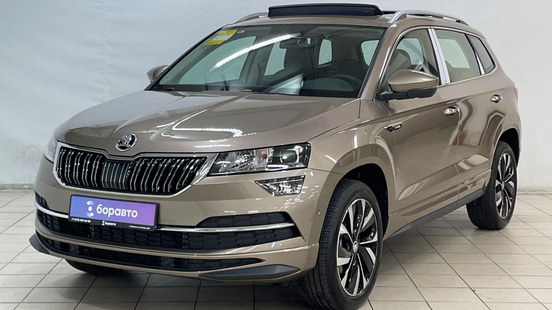 SKODA KAROQ  2025 смотреть онлайн