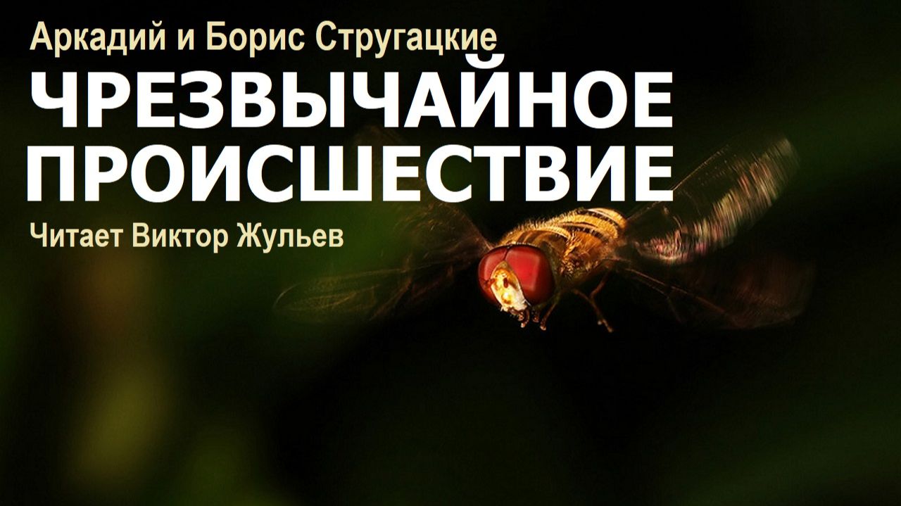 Аудиокнига «ЧРЕЗВЫЧАЙНОЕ ПРОИСШЕСТВИЕ». Аркадий и Борис Стругацкие смотреть онлайн