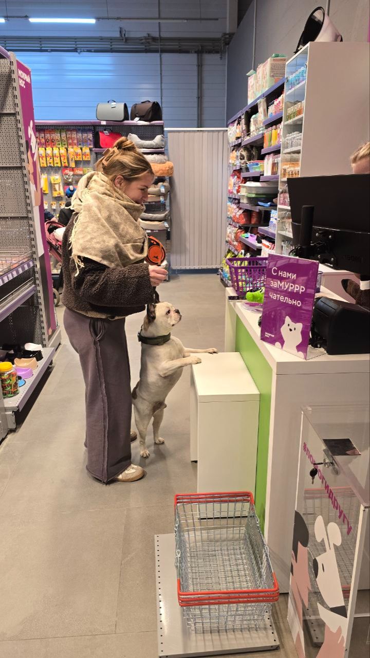 Тестируем всё новое сразу!