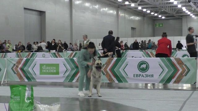 Фиелисс Ойра смотреть онлайн