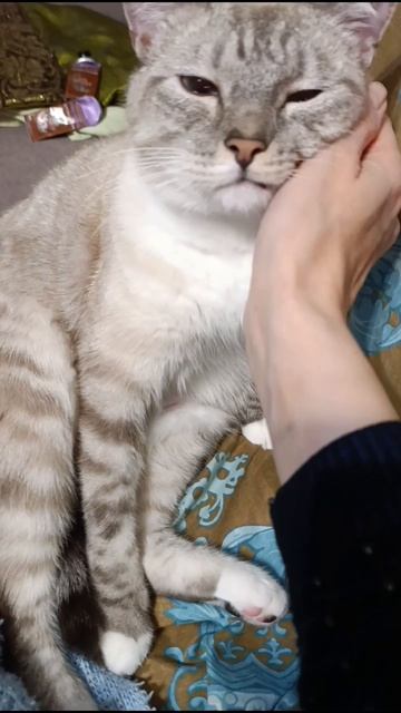 Каспер смотреть онлайн