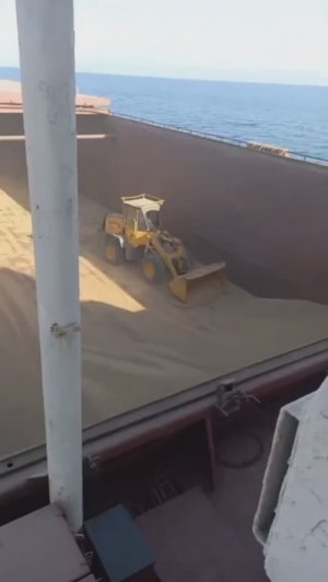Трактор собирает зерно в трюме судна для разгрузки.
