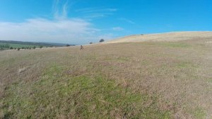 форсированный 166 мотор испытания