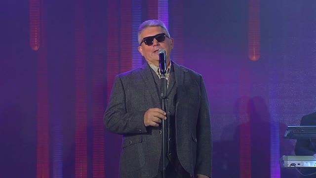 «Не меняй меня на котенка»/«Do not swap me for a kitten»