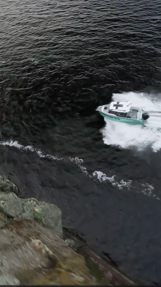 Длинное послевкусие и глиссер, который не спрашивает разрешения!!! Discovery 650 в наличии!!! смотреть онлайн