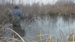 Охота на бобра. Ставлю и проверяю капканы. Работа над ошибками.