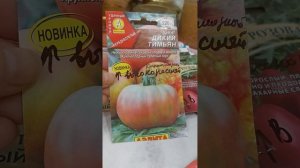 томаты