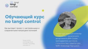 [Курс «Tangl Control»] Как выглядит проект с настроенными и сохраненными матрицами коллизий