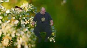 Высокочастотные перестроения. Будда. Смена эпох. Жатва душ. Карма.