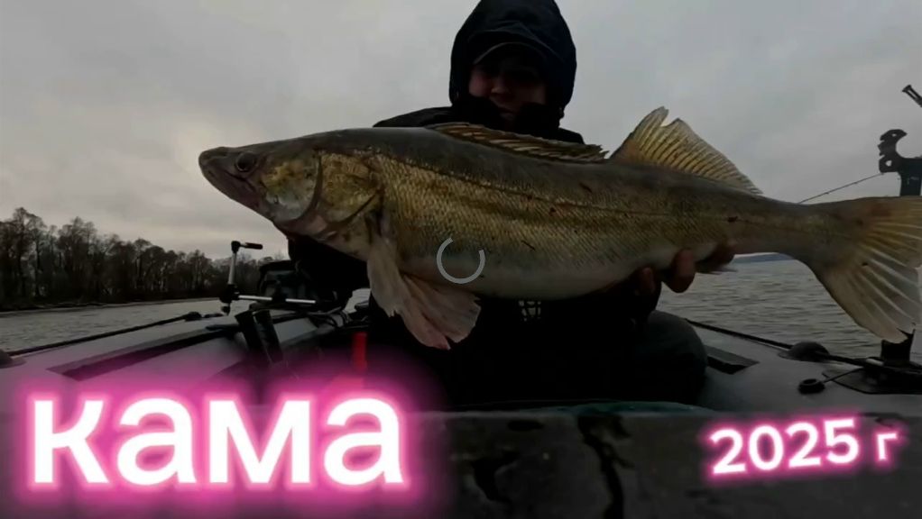 Осенний судак на р Кама.