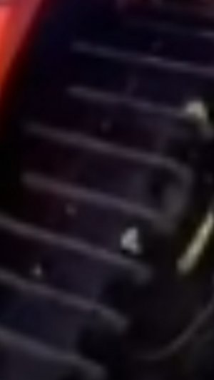 минитрактор гусеничный кубота японский