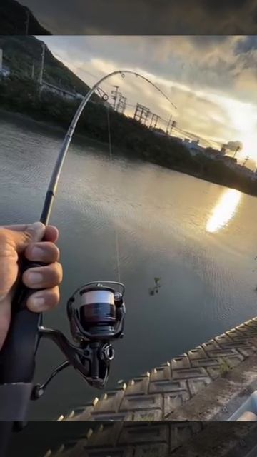 Поклёвка на спиннинг. Просто поклёвка... смотреть онлайн