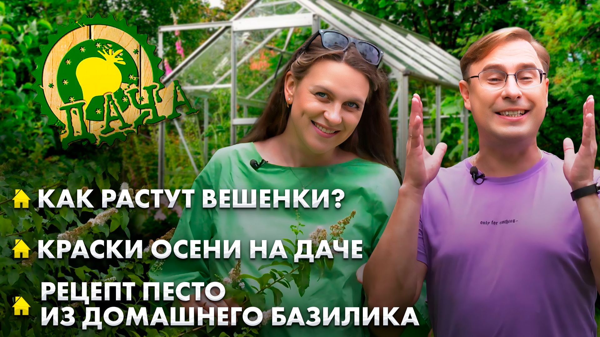 Как вырастить вешенки? | Рецепт соуса песто | Злаковые растения для дачного участка | Дача