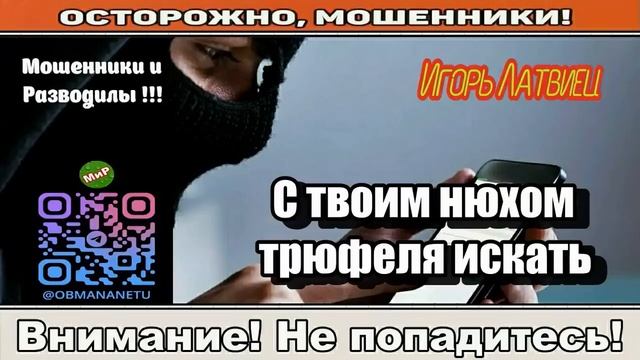 АФЕРИСТЫ 404, С твоим нюхом трюфеля искать.. смотреть онлайн