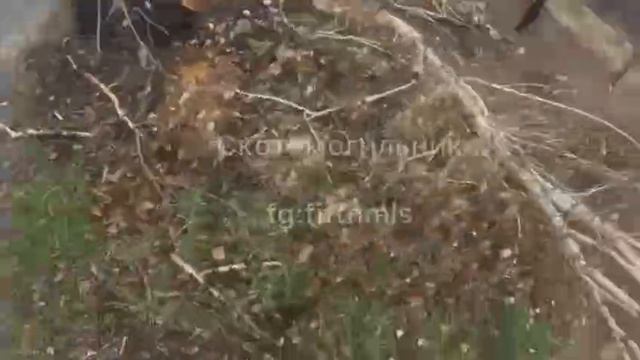 у тракториста трЫста смотреть онлайн