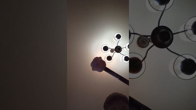 киски моей кошки