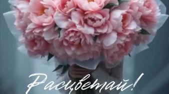 Самые красивые и трогательные поздравления с днем рождения - своими словами для женщины