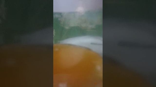 Юбилейный стрим, спасибо за 10 пд!!!