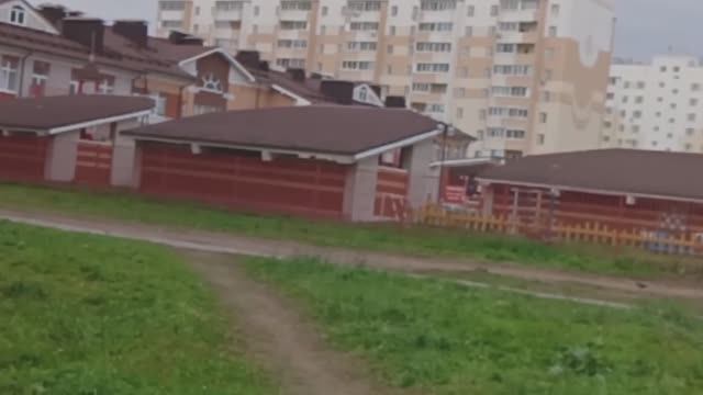 Ижевск, Столичный: Сервис для самых маленьких смотреть онлайн