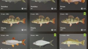 Рыбалим в РР!