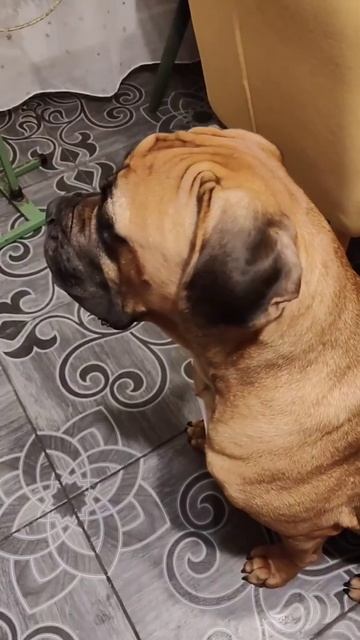 Рыбка для рыбки