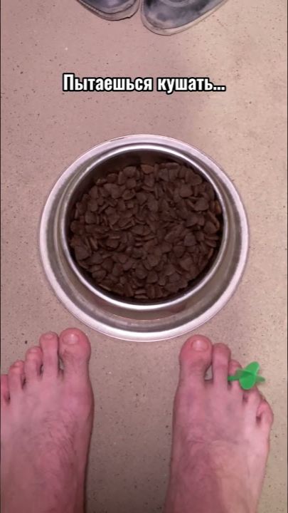 ПОВ: Ты проснулся на свидании с Чикатило😨🌹 #shorts #funny #comedy #memes смотреть онлайн