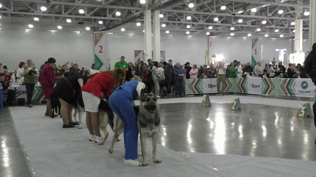 Сравнение класса чемпионов смотреть онлайн